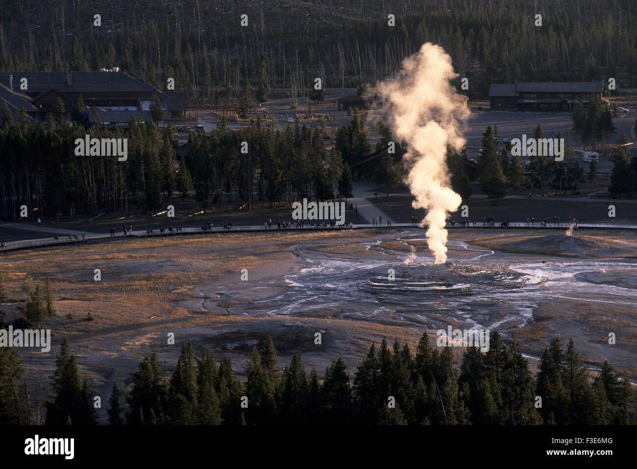 Old Faithful sendet Dampf vor ausbrechenden im Yellowstone National Park. Stockfoto