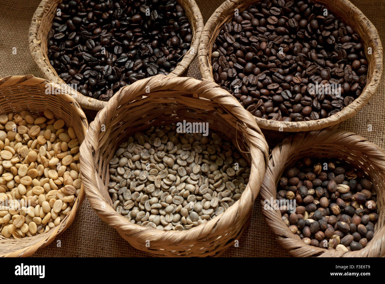 Kaffeebohnen in verschiedenen Rösterstufen sitzen in Körben. Costa Rica Stockfoto