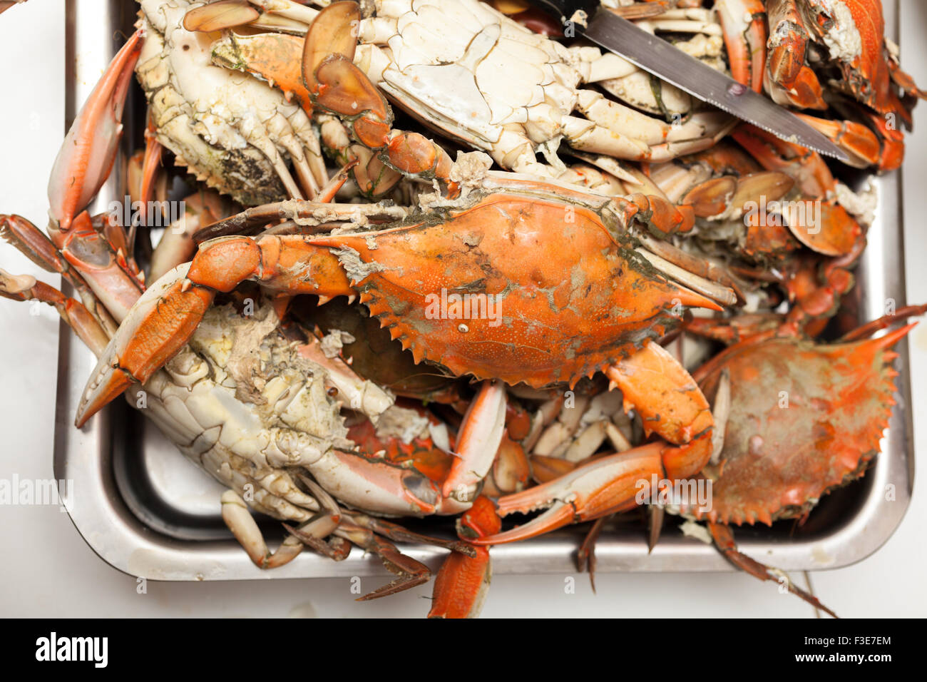 Haufen von frisch gedämpfte blaue Krabben Stockfoto