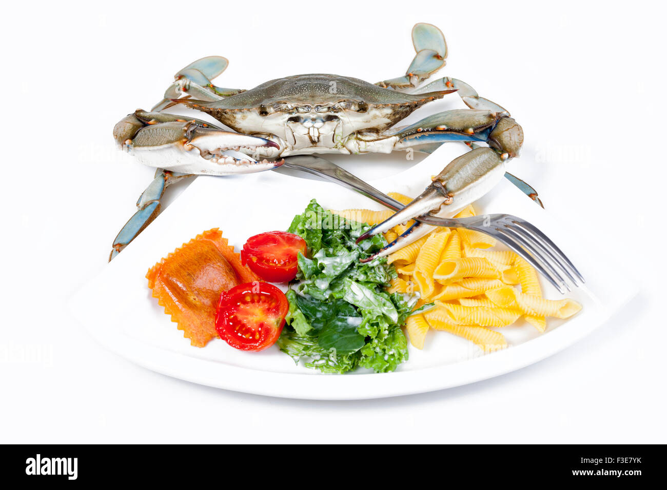 Blaue Krabbe bereit zu essen Stockfoto