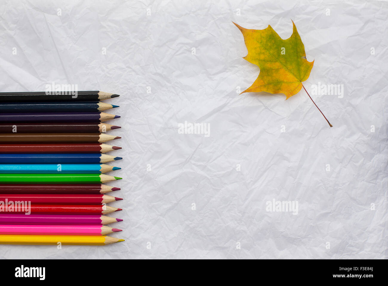 Buntstifte in einer Reihe auf zerknüllten weißen Blatt Papier und eine gelbe Ahornblatt Stockfoto