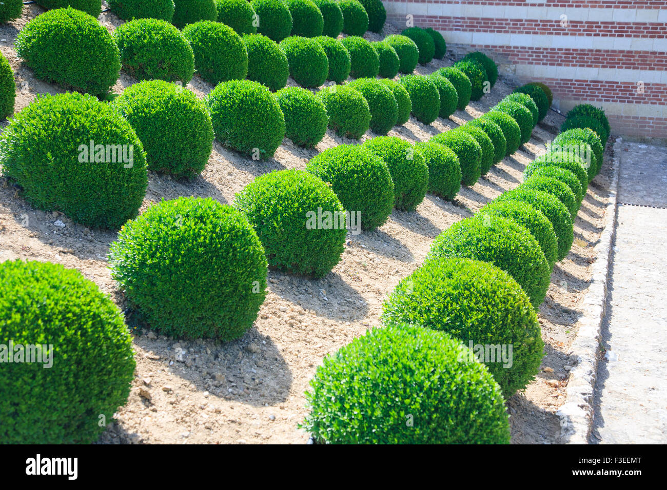 Box-Kugeln - eine Funktion in das Chateau de Amboise im Loire-Tal, Frankreich Stockfoto Box-Kugeln - eine Funktion in das Chateau de Amboise im Loire-Tal, Frankreich Stockfoto