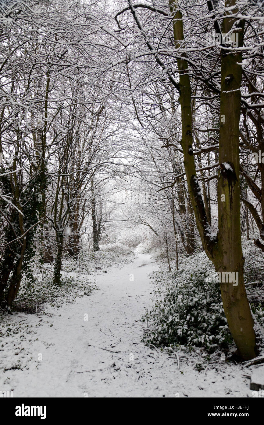 SPath durch verschneite Wälder in Yorkshire, England UK Stockfoto