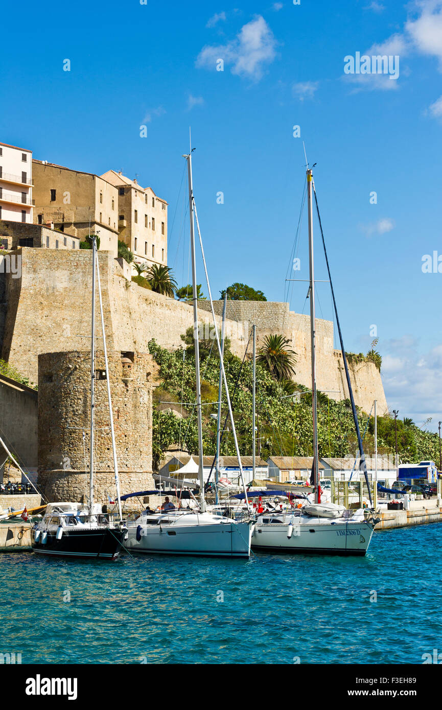 Calvi, Korsika, Frankreich Stockfoto