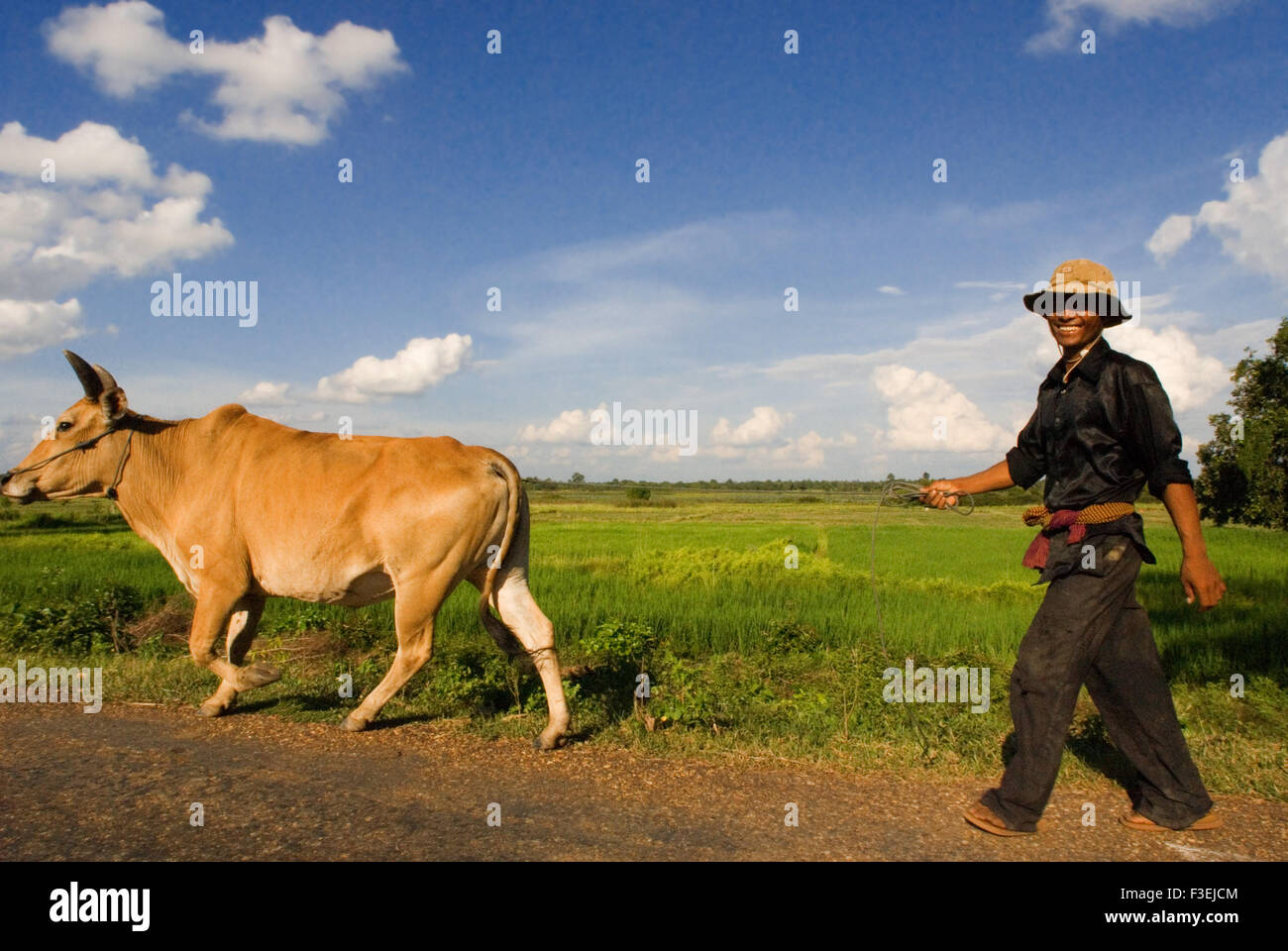 Landwirt mit einer Kuh in der Nähe von Kampi. Kratie. Kratié oder Kraches ist eine Provinz (Khaet) liegt im Nordosten Kambodschas. Es Grenzen S Stockfoto