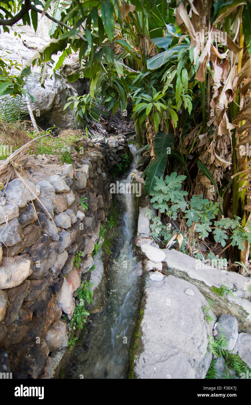 Falaj, alte traditionelle omanische Bewässerungssystem in der Oase Dorf von Misfat al Abrayeen in das Sultanat Oman Stockfoto