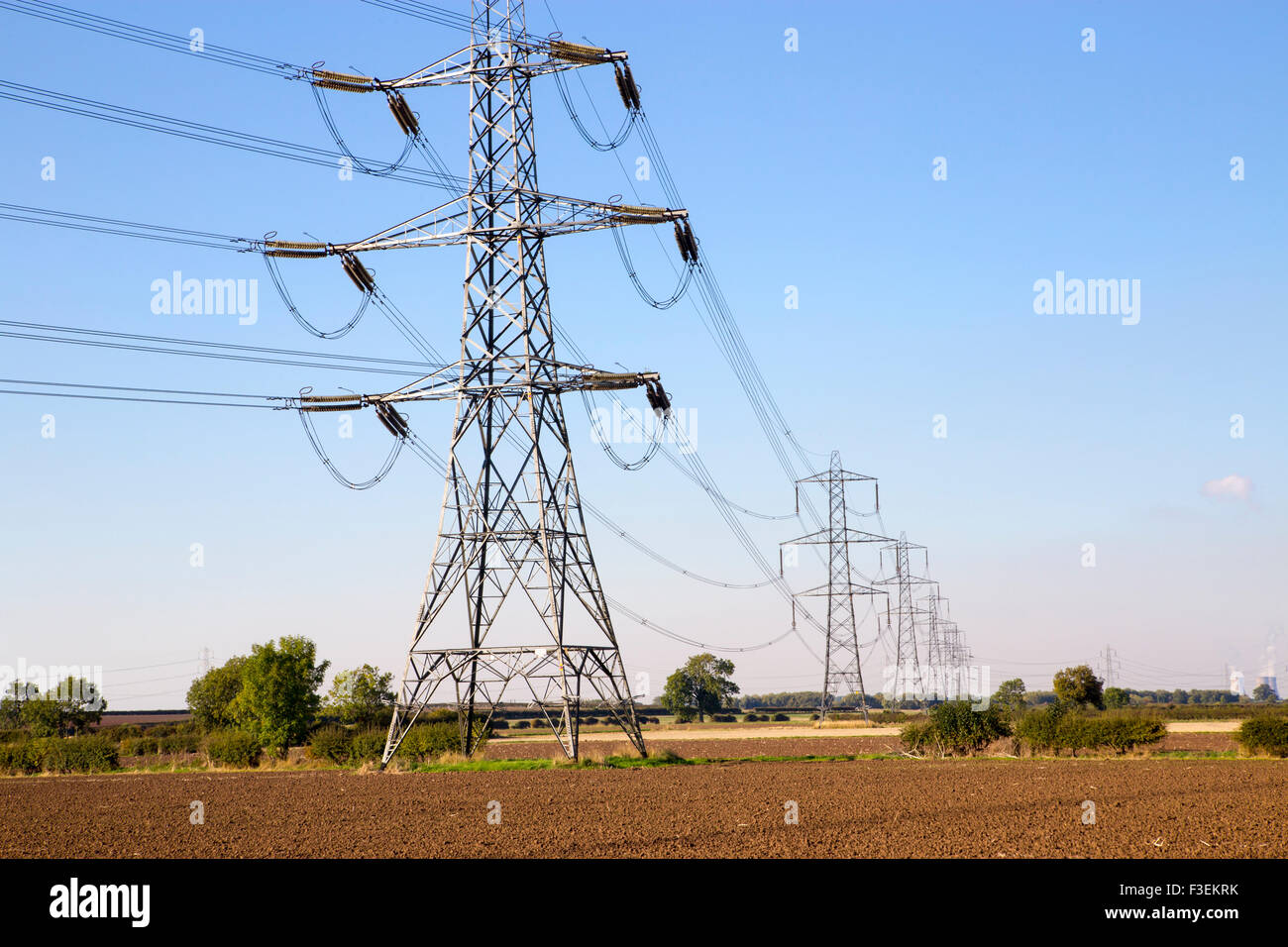 Strommasten durch Land Stockfoto