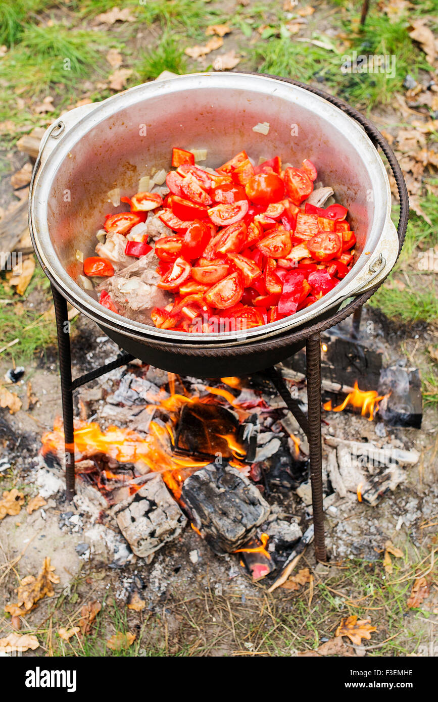 rohes Lammfleisch mit Tomaten in den Topf gekocht auf einem Picknick Stockfoto