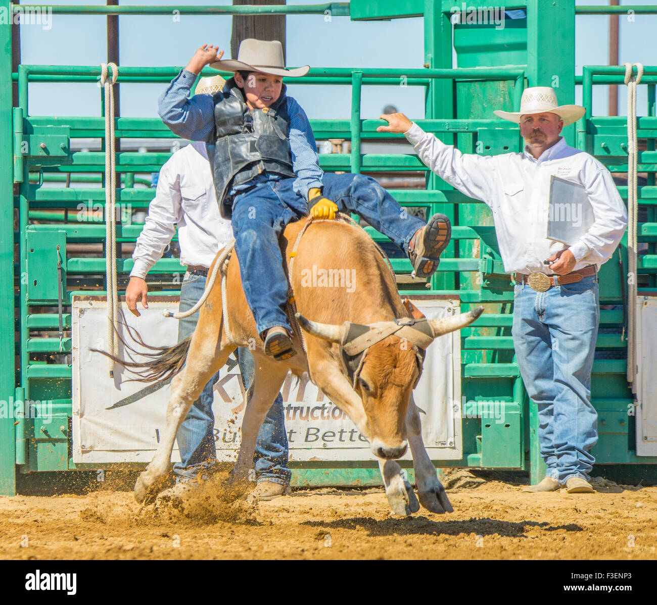 Rodeo, Bruneau Round-Up, Native American Teenager Steer Reiten, Bruneau, Idaho, USA Stockfoto