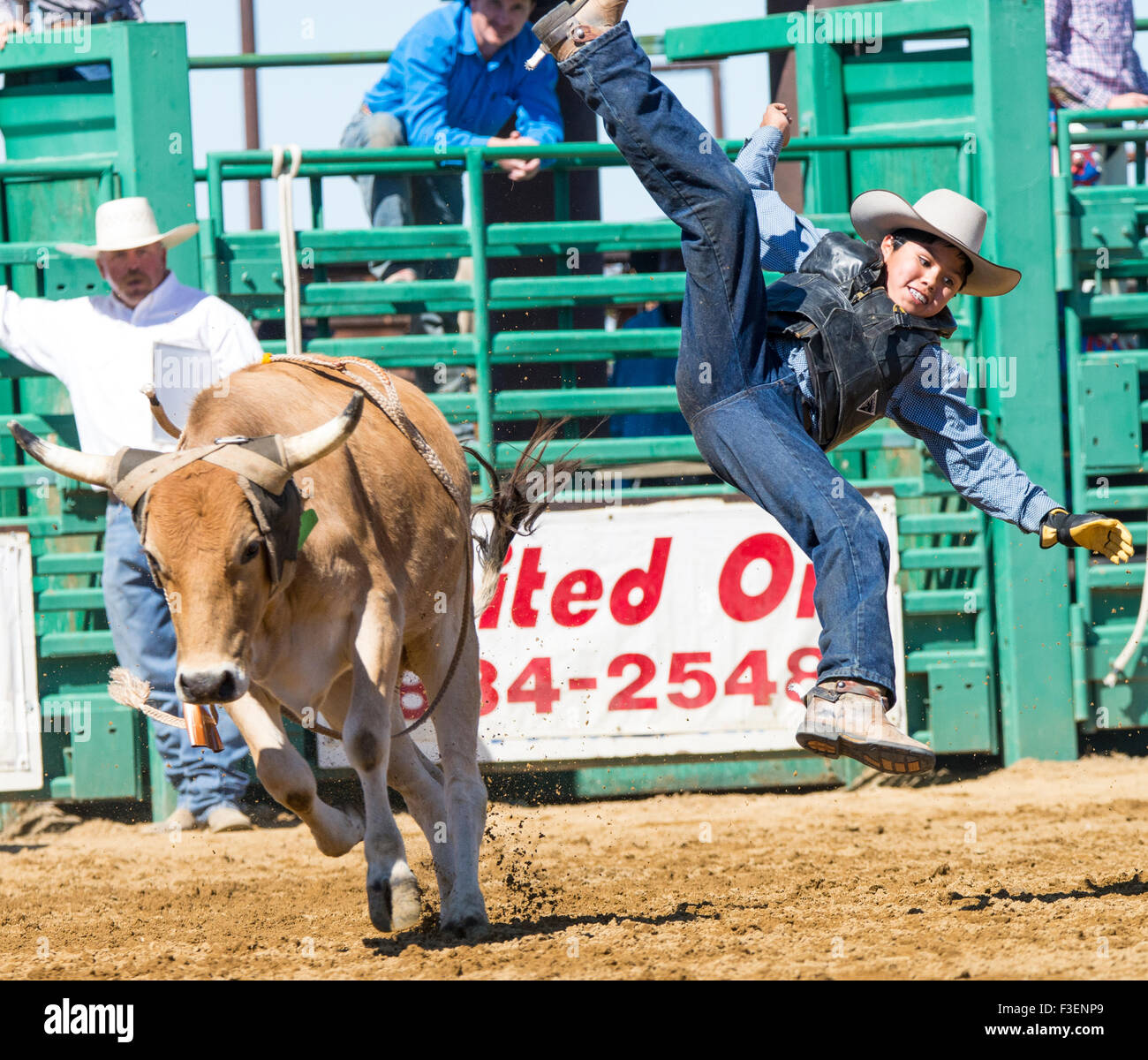 Rodeo, Bruneau Round-Up, Native American Teenager zu lenken, Reiten, Bruneau, Idaho, USA Stockfoto