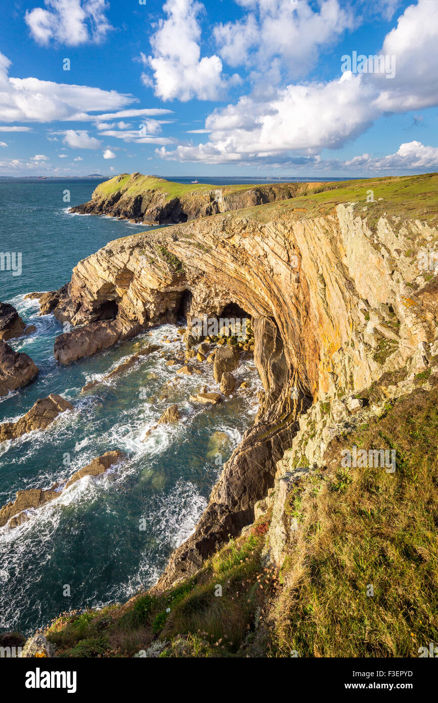Die erstaunliche geologische Felsen und Höhlen in der Nähe Wooltack Stelle in St.Brides Bay in Pembrokeshire Coast National Par suchen Stockfoto