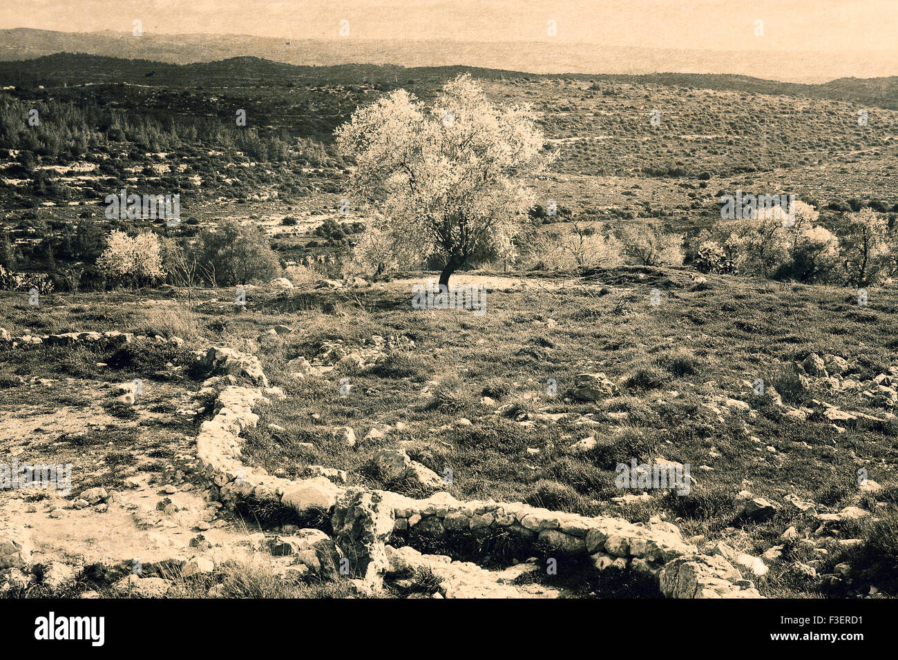 Vintage strukturiertes Bild mit Blick auf ländliche und alte Straße (getönt) Stockfoto