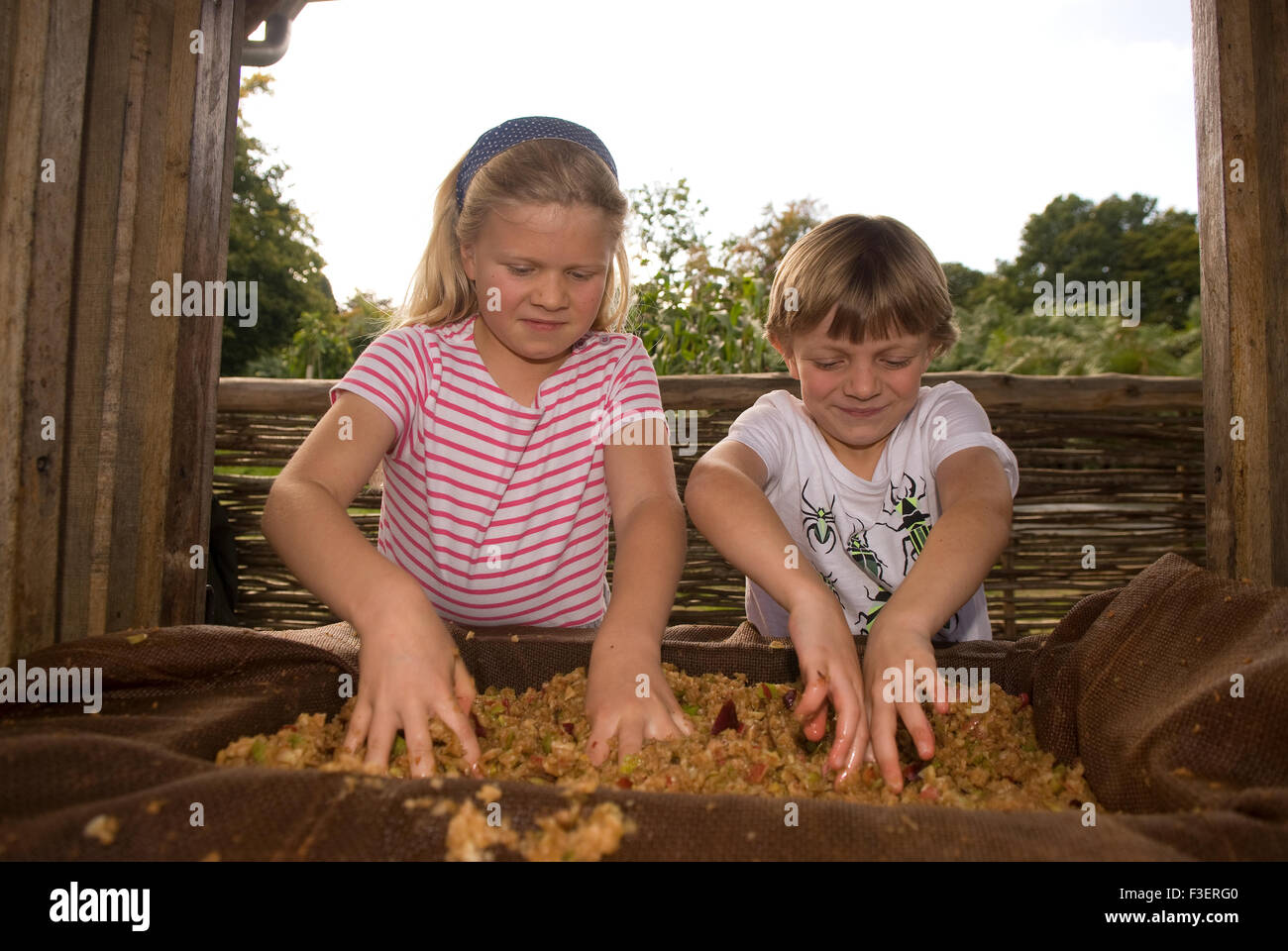 Bruder & Schwester (7 & 9 Jahre beziehungsweise) auf einem Bauernhof Äpfel schneiden manuell drücken, während ein Apfel und Apfelwein machen Sitzung... Stockfoto