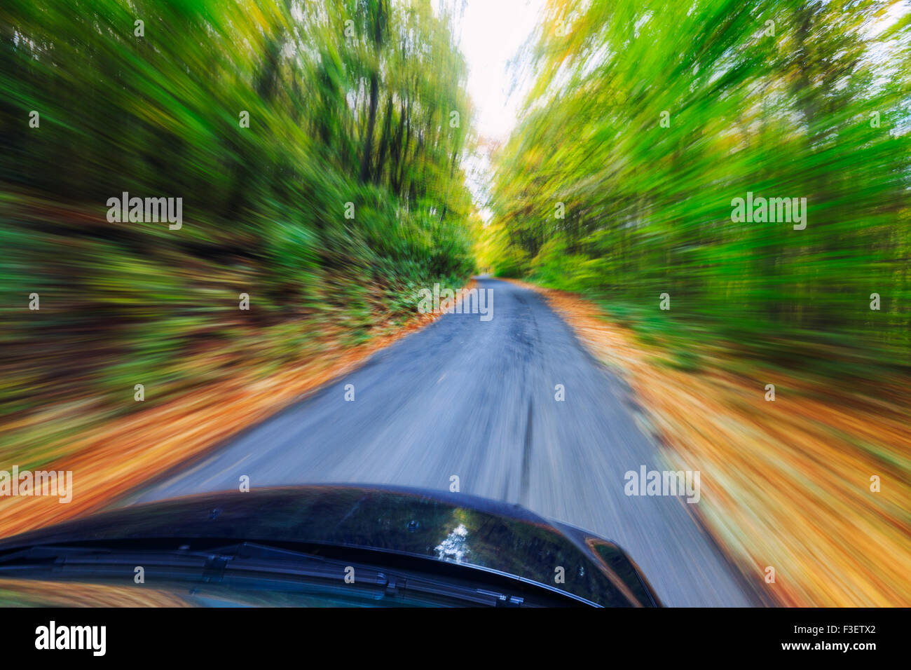 Auto fahren schnell in herbstlichen Wald Stockfoto