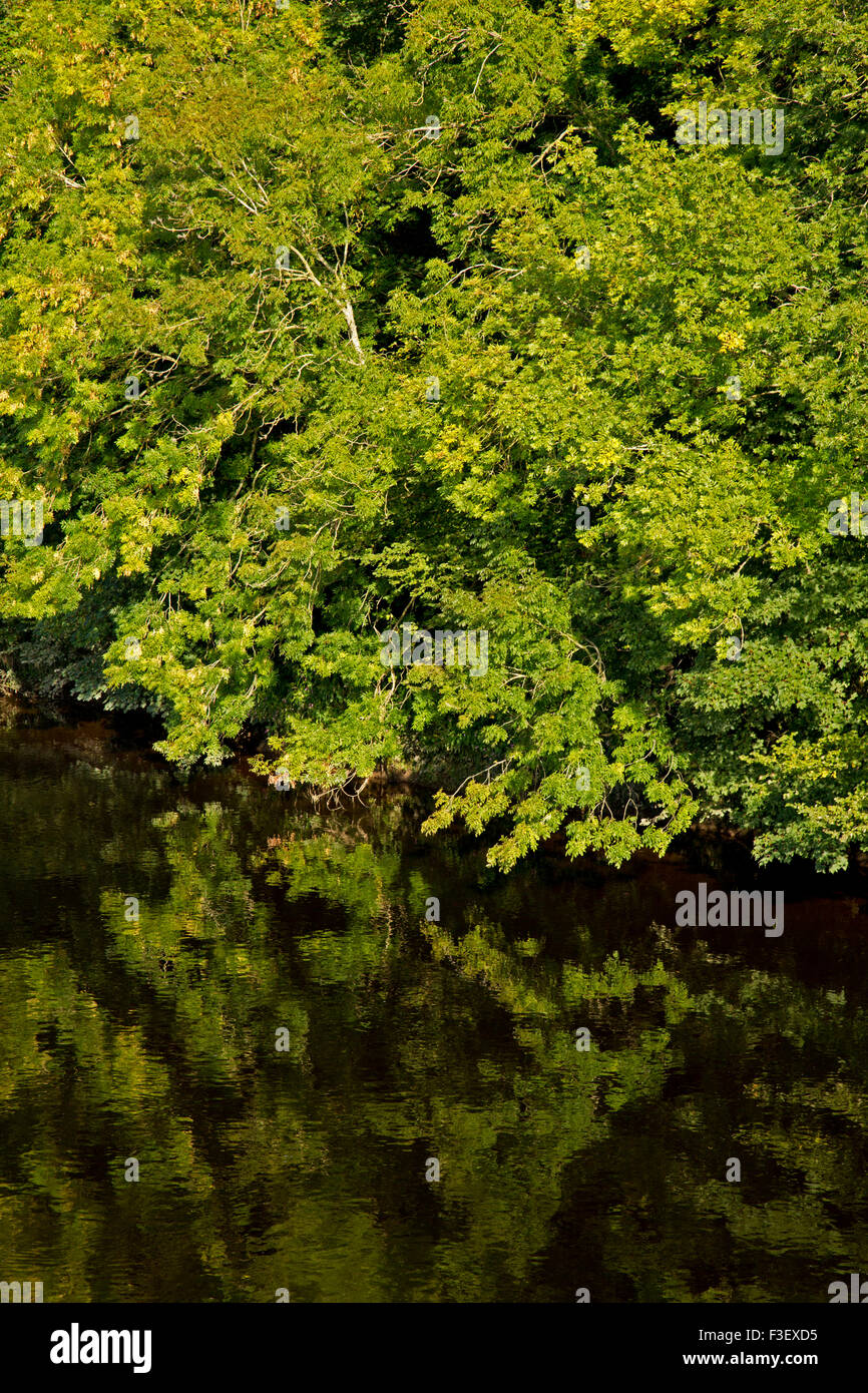 Reflexionen der bewaldeten Bank in den Fluss Wye im Frühherbst Stockfoto