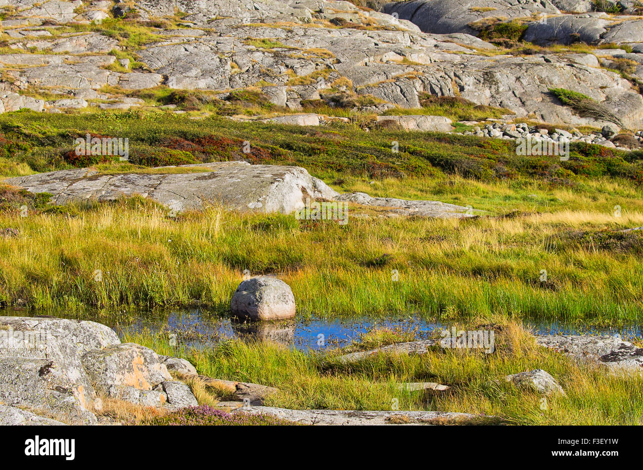 Wild und felsig Naturlandschaft in einem Reservat an der schwedischen Westküste. Stockfoto