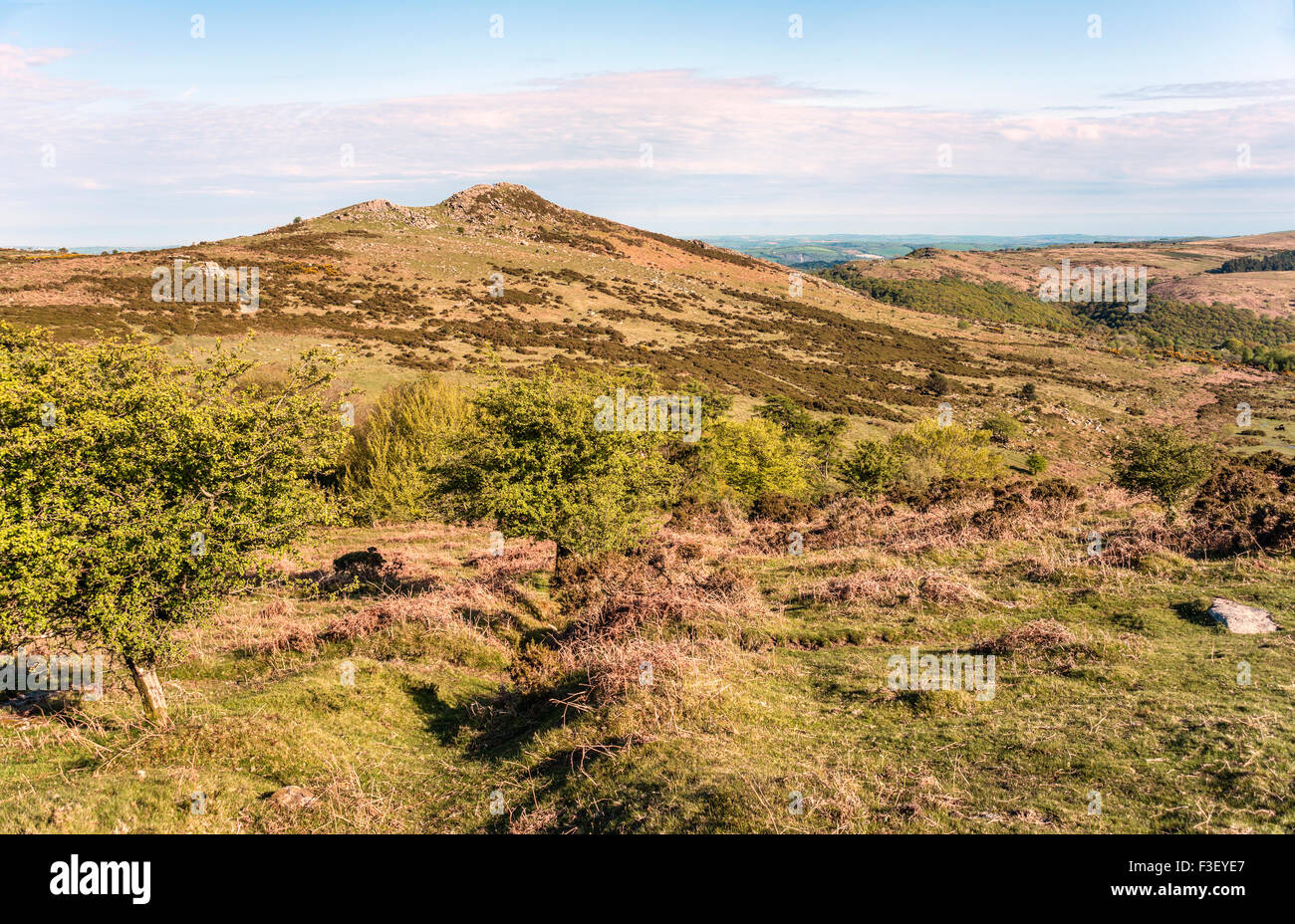 Landschaft im Dartmoor National Park, Devon, England, Großbritannien Stockfoto