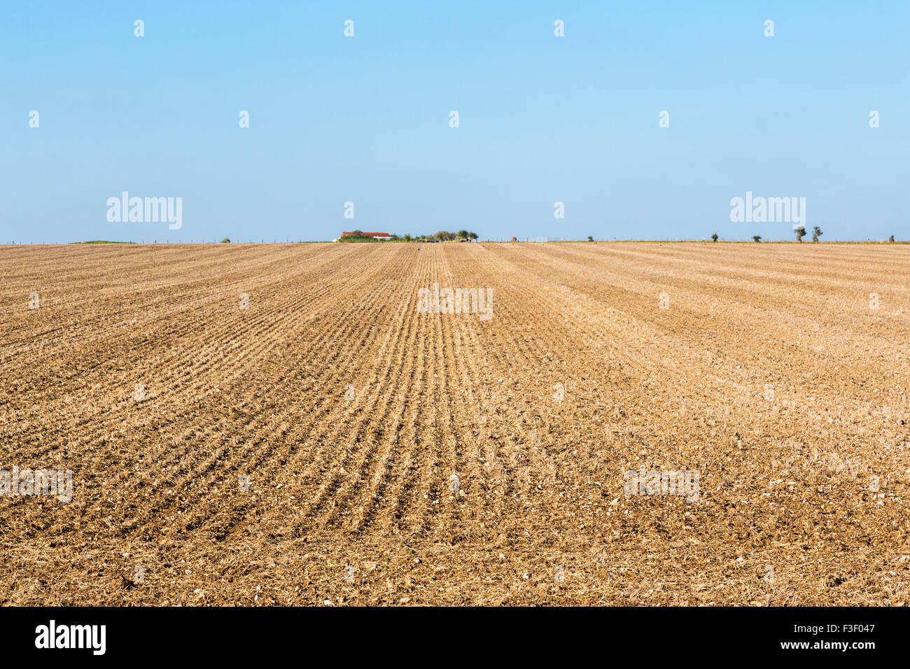 Acker, Ackerland, Salisbury Plain, Wiltshire, Südwest-England Stockfoto