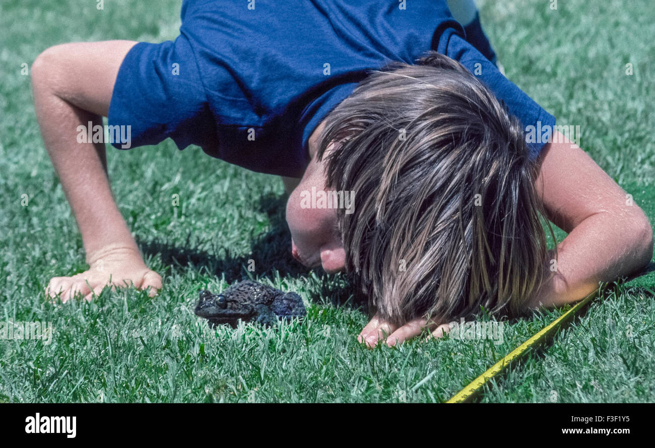 Ein kleiner Junge bläst es auf seine Ochsenfrosch in der Hoffnung, Vergrößerung des Abstandes Hopfen während ein Frosch springt Wettbewerb in Del Mar, Kalifornien, USA. Solche Wettbewerbe sind jährliche Veranstaltungen in einer Reihe von amerikanischen Gemeinschaften, einschließlich Calaveras County, Kalifornien, wo ein Frosch springt Jubiläum seit 1928 stattgefunden hat. Der Wettbewerb entstand, nachdem amerikanische Schriftsteller Mark Twain (geb. Samuel Clemens) schrieb eine Kurzgeschichte "The feierte Jumping Frog von Calaveras County." Stockfoto