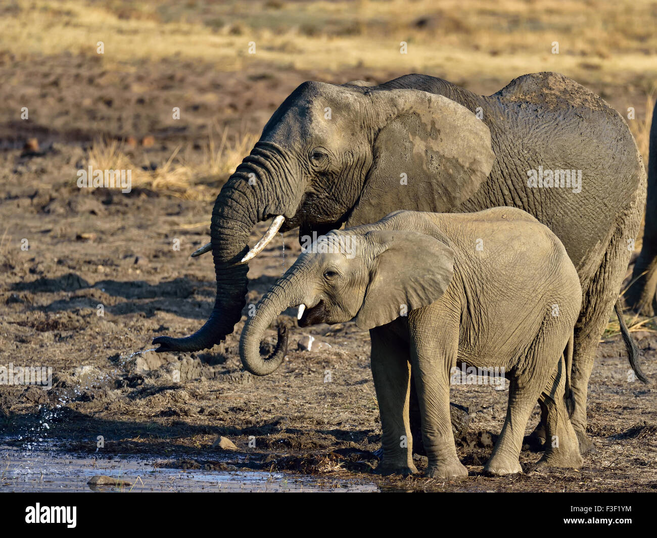 Dies ist, wie Sie es tun Stockfoto