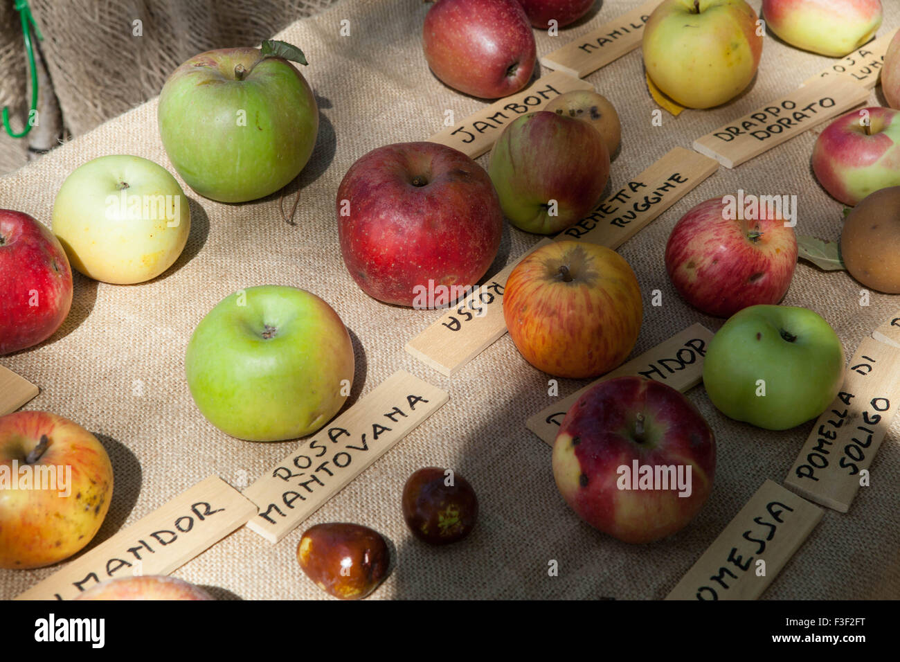 Äpfel auf dem Display an eine italienische Farmers' Market Stockfoto