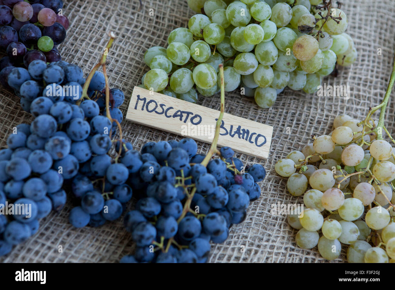 Moscato-Trauben auf dem Display an eine italienische Farmers' Market Stockfoto