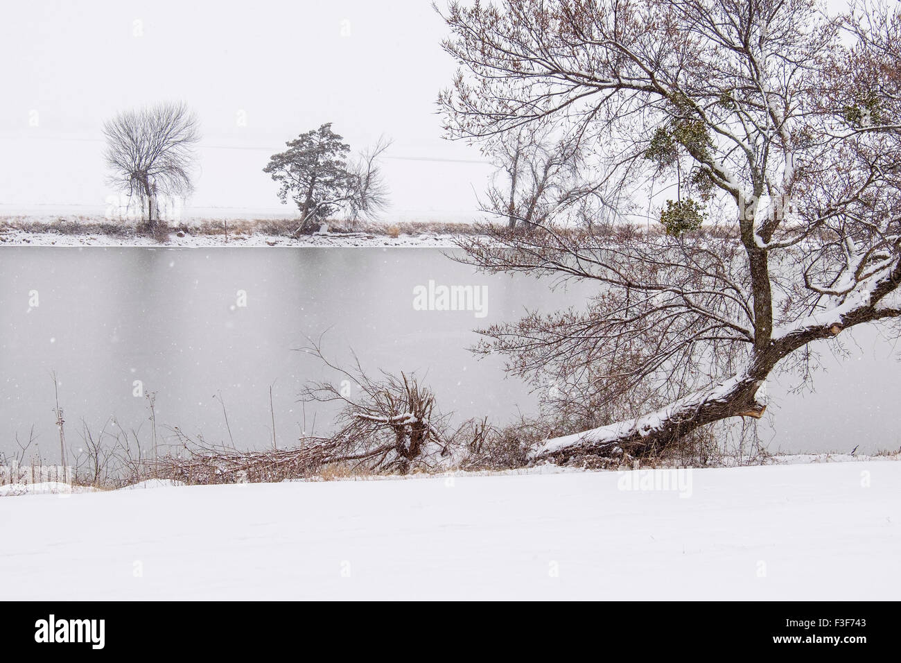 Eine schneereiche Winter-Wetter-Szene zeigt Baum, einen Kanal und eine Schnee bedeckt zugefrorenen See im Hintergrund. Oklahoma, USA Stockfoto