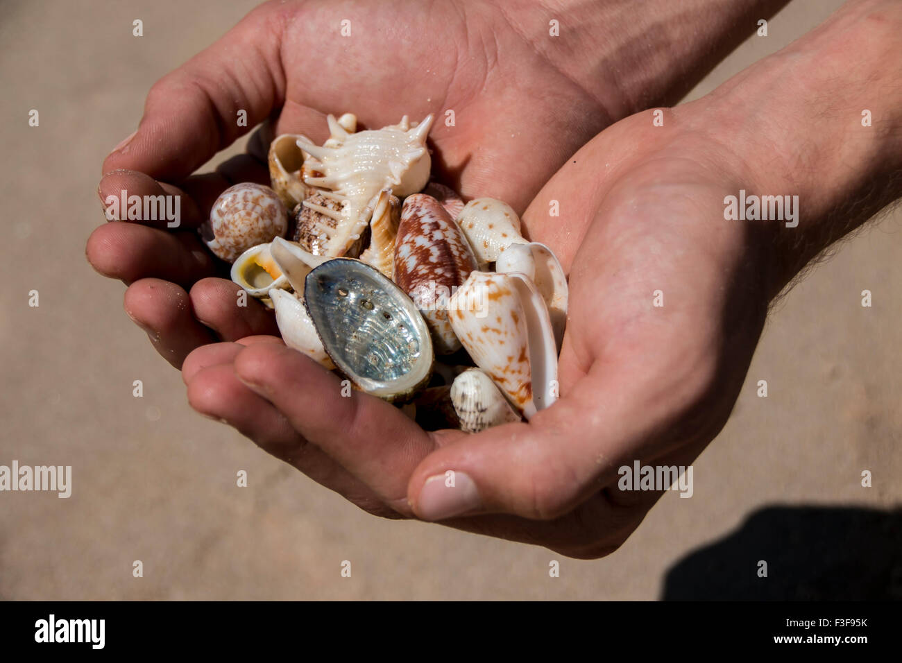Er verkauft Muscheln... II Stockfoto