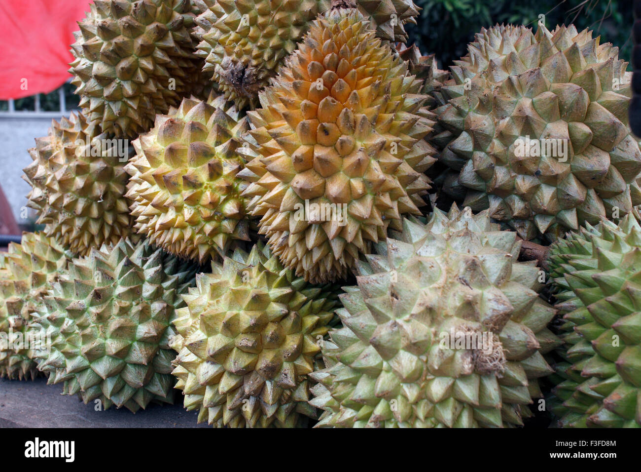 Durian Fruit, Colombo, Ceylon, Sri Lanka, Demokratische Sozialistische Republik Sri Lanka, Asien Stockfoto