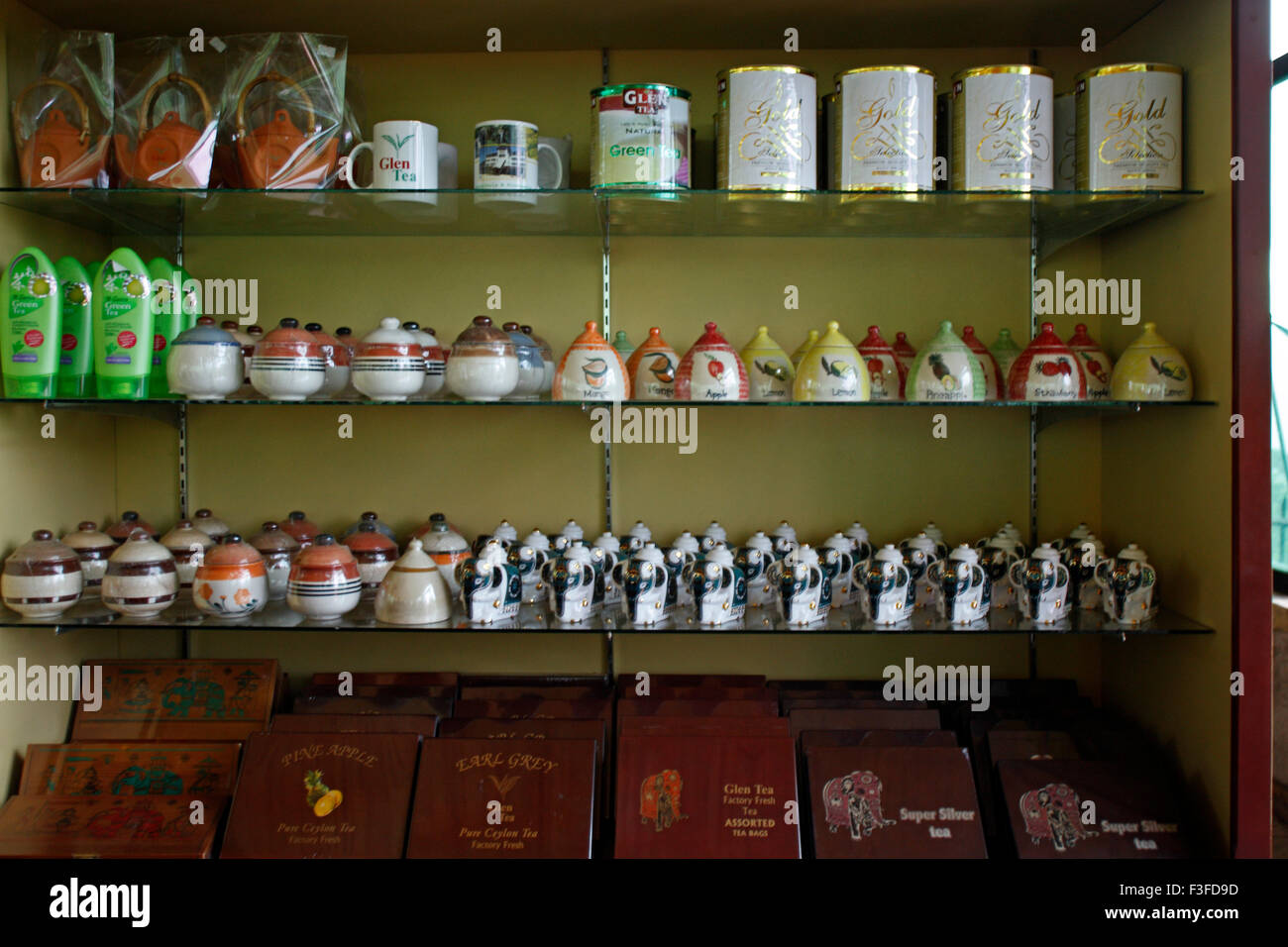Teefabrik, Teefabrik Gleanloch, Teeladen, Rambukkana, Colombo, Ceylon, Sri Lanka, Demokratische Sozialistische Republik Sri Lanka, Asien Stockfoto