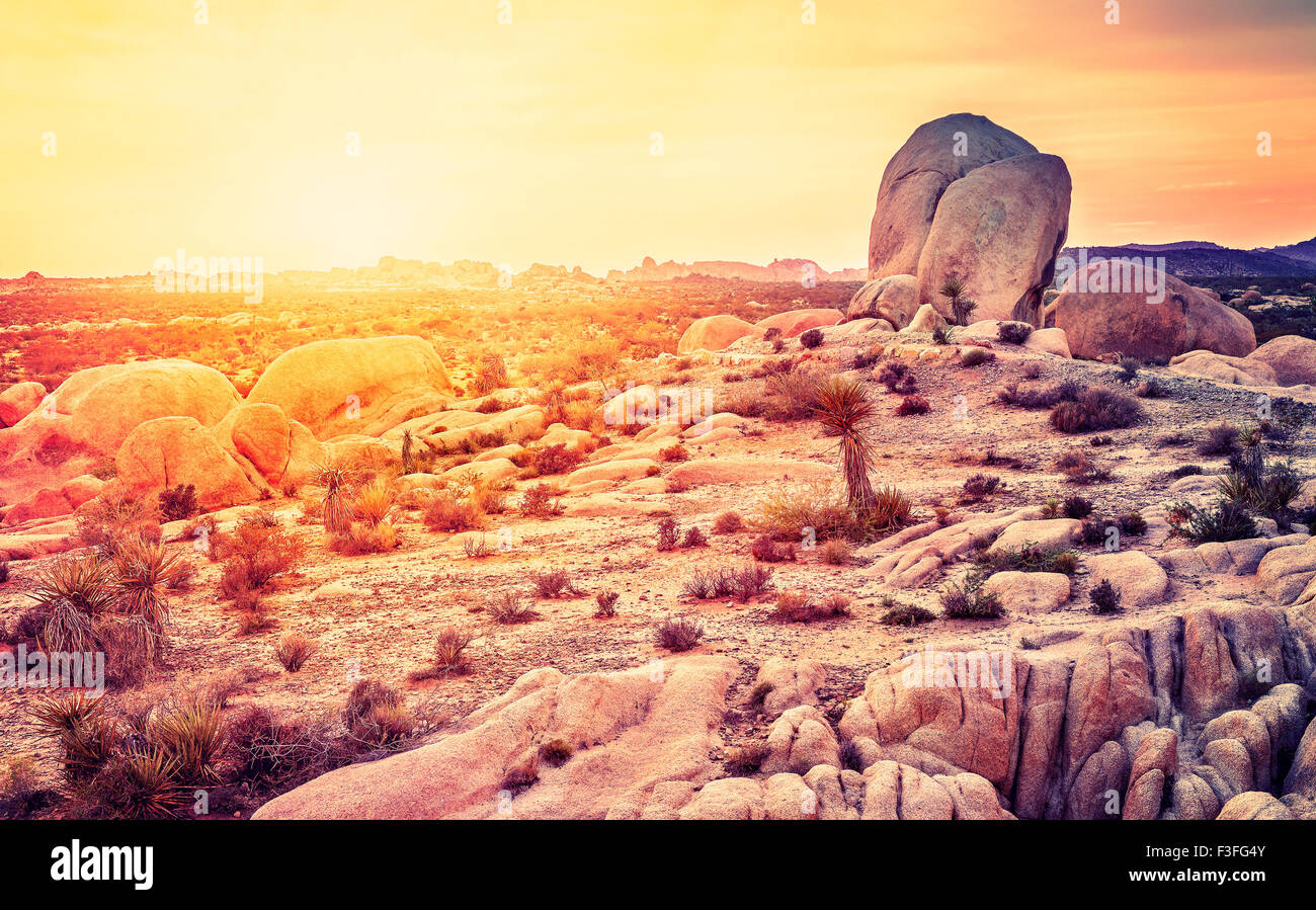 Sonnenuntergang über der Wüste im Joshua Tree Nationalpark, Kalifornien, USA. Stockfoto