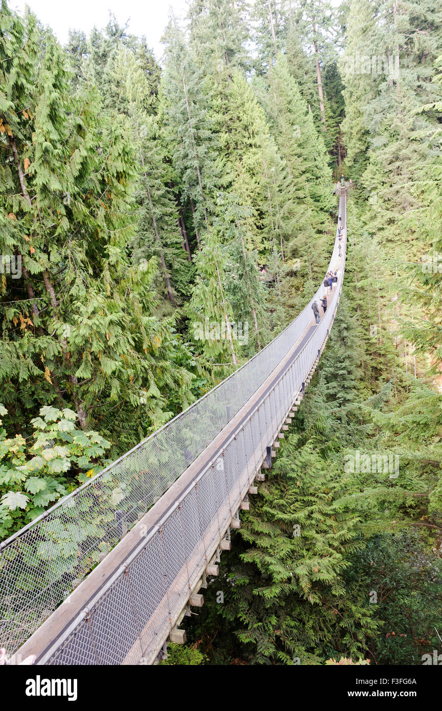 Capilano suspension Fotos und Bildmaterial in hoher Auflösung Alamy