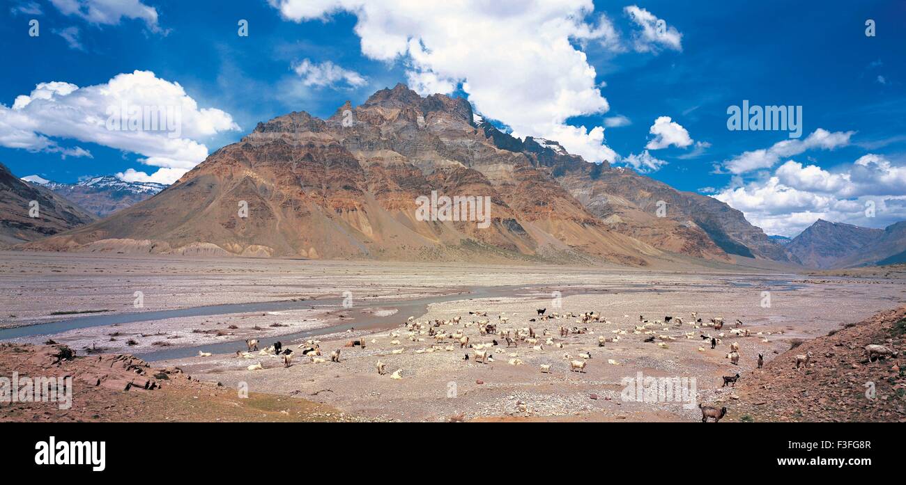 Fluss; Himalaya-Berg; himalaya-Berge; himalaya-Landschaft; Ladakh; Kaschmir; Indien; Asien; Asiatisch; Indisch Stockfoto