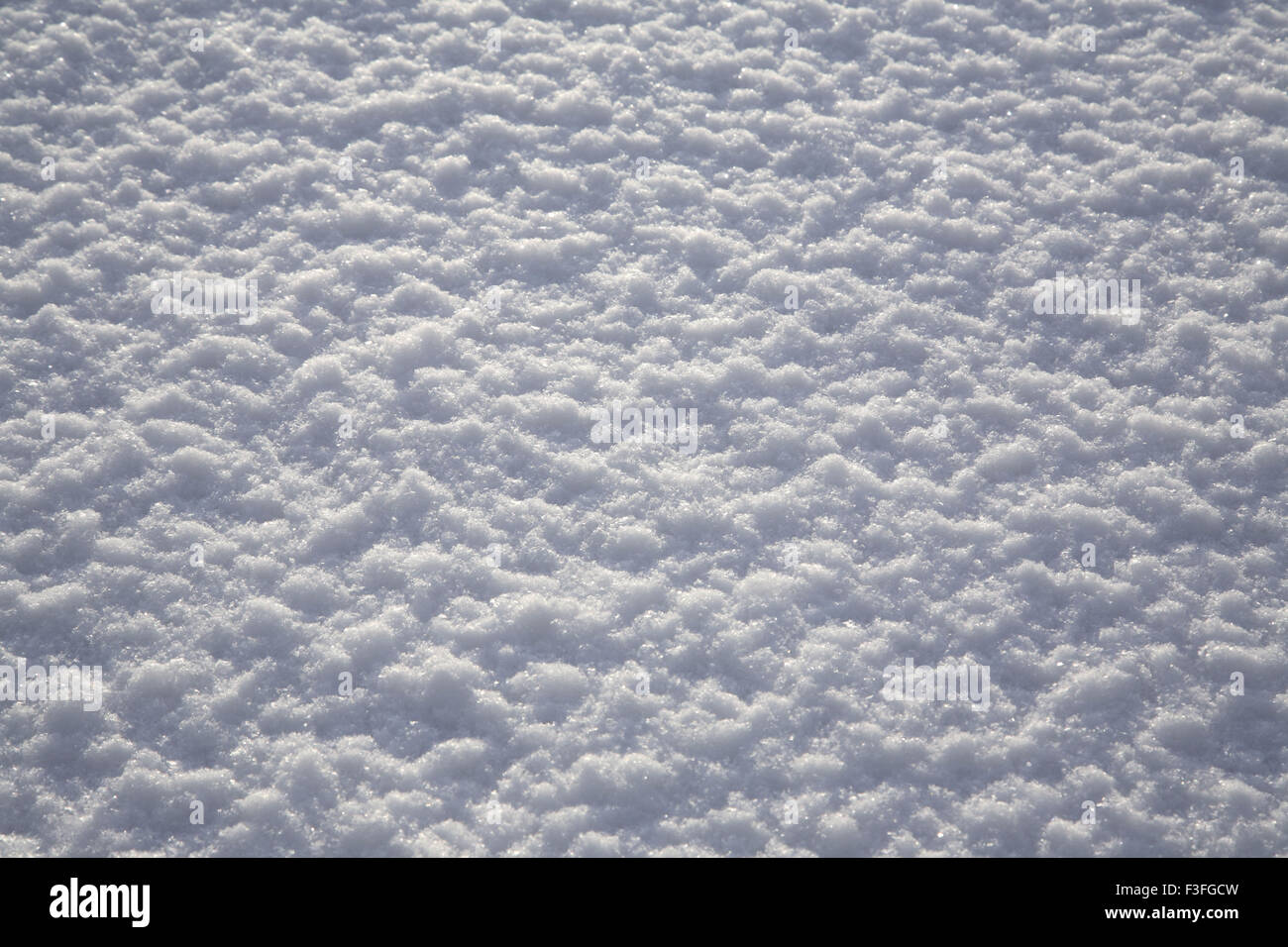 Frischer Schnee auf dem Boden; Hintergrundbeleuchtung; Textur; Schweden Stockfoto