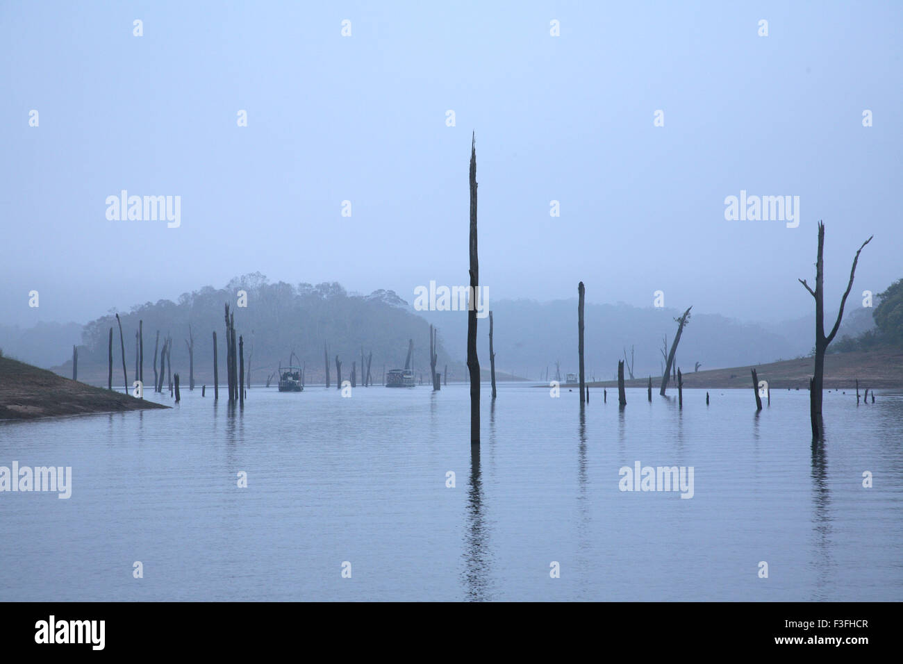 Am frühen Morgen Landschaft des Periyar See Touristen auf Boot fahren am Periyar See; Periyar Wildlife Sanctuary; Thekkady; Kerala Stockfoto