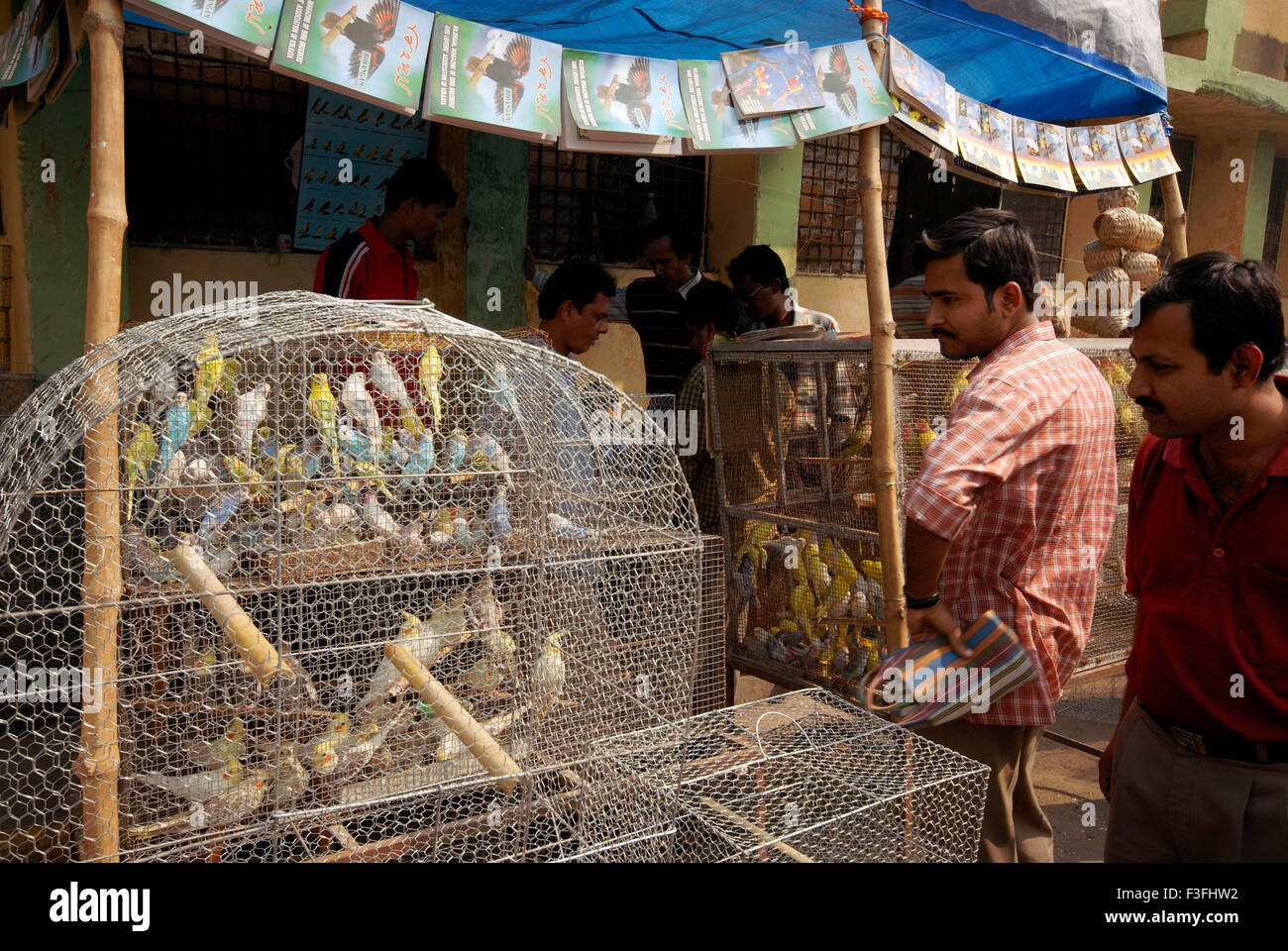 Vögel; Verschiedene Vogelarten, die für Verkauf im Käfig gehalten werden; Indien Stockfoto