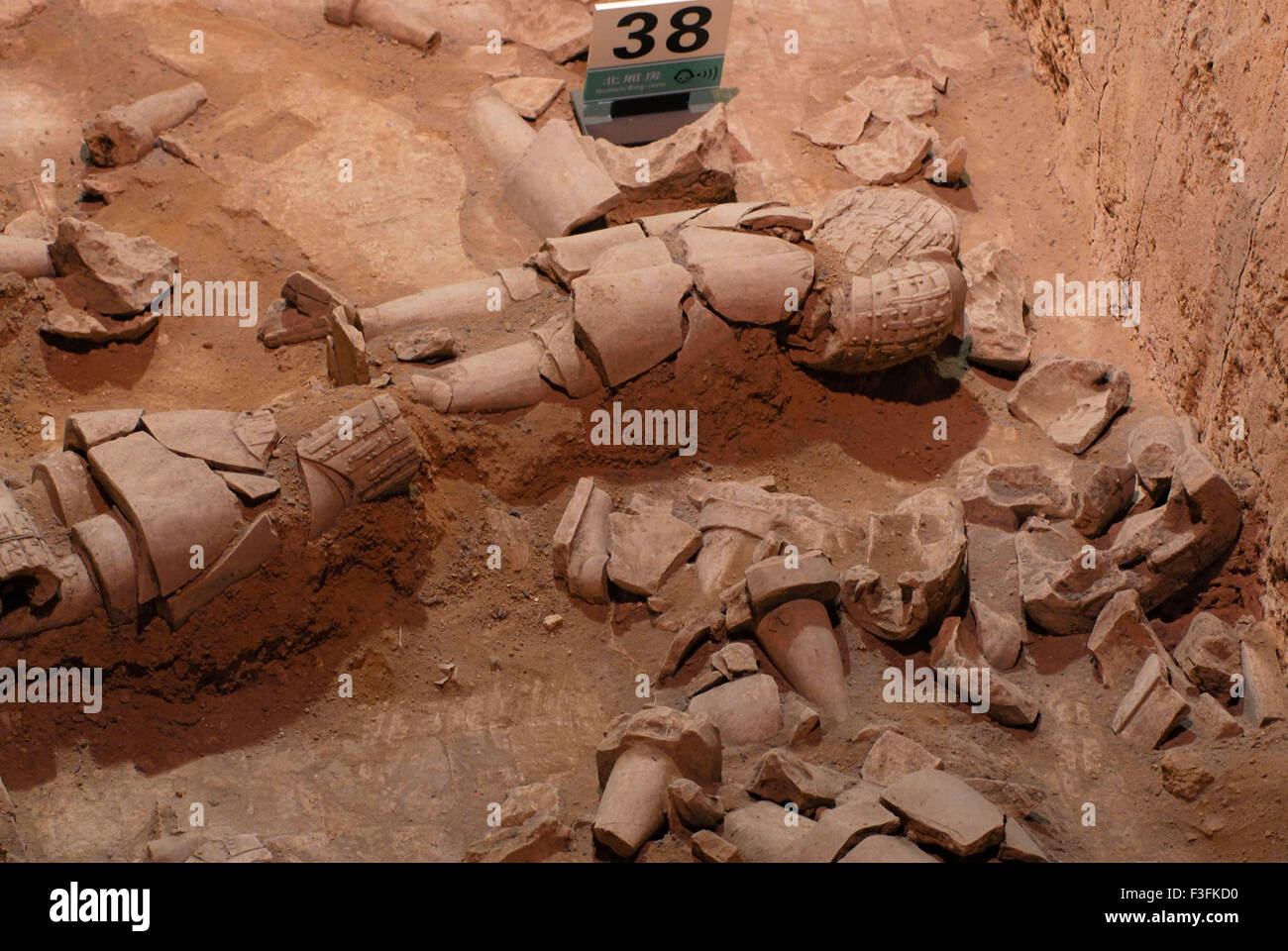 Statuen von Terrakotta-Krieger in Grube 3; Terrakotta-Armee; Qin-Dynastie; Xian; China Stockfoto