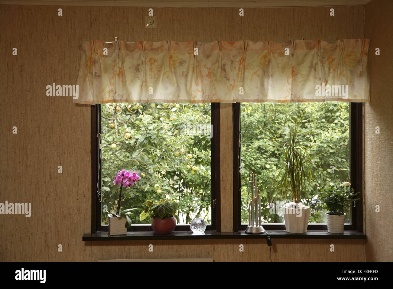 Haus-Fenster mit dekorativen Töpfe und Pflanzen gehalten am Fenster Stockfoto