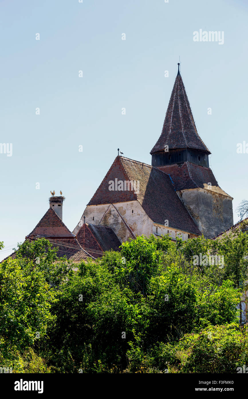 Wehrkirche in der sächsischen Dorf Rammsondiergeräte, Siebenbürgen, Rumänien Stockfoto