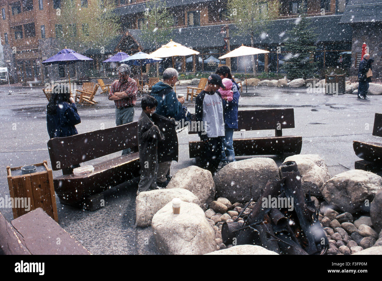 Snow Fall, Denver, Colorado, USA, Vereinigte Staaten von Amerika, US, Vereinigte Staaten, Amerika, Amerikaner Stockfoto