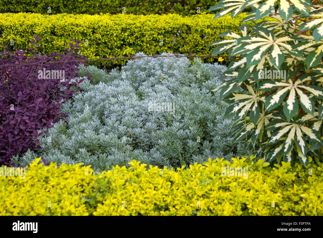 Grüne & bunte Garten Chidia Ghar Vogel in Bhopal; Madhya Pradesh; Indien Stockfoto