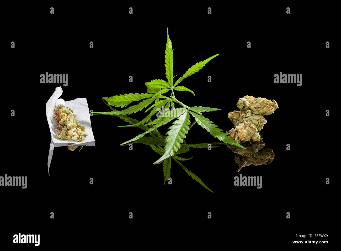 Marihuana-Hintergrund. Cannabis-Zigarette gemeinsame, Knospe und Hanf verlässt isolierten auf schwarzen Hintergrund. Süchtig machende Droge Stockfoto
