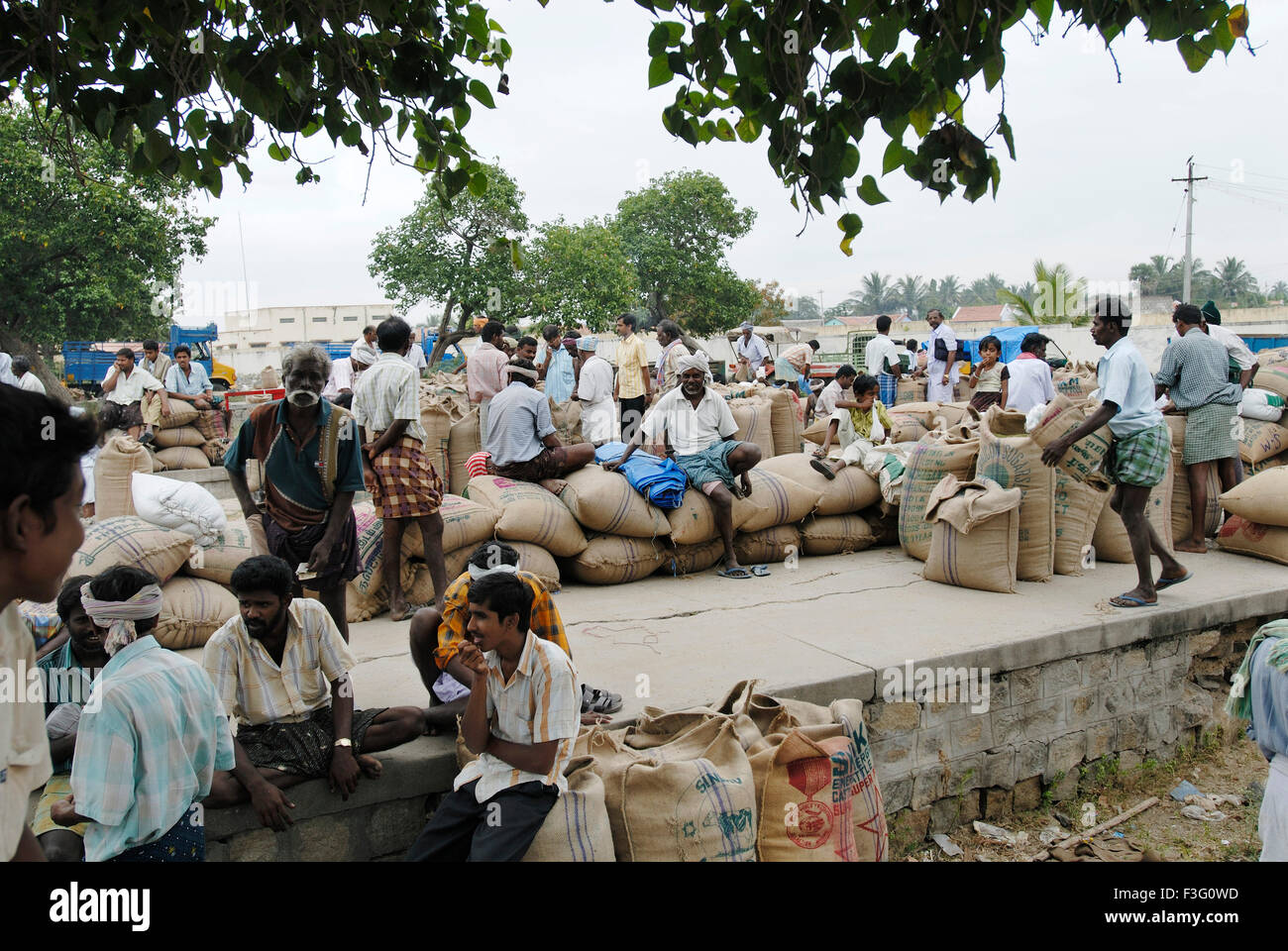Landwirtschaftliche Produkte sind für den Transport bereit; Tamil Nadu; Indien Stockfoto