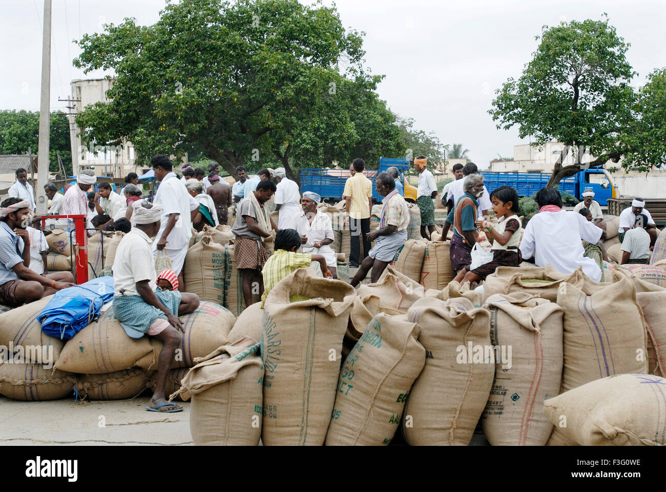 Landwirtschaftliche Produkte sind für den Transport bereit; Tamil Nadu; Indien Stockfoto