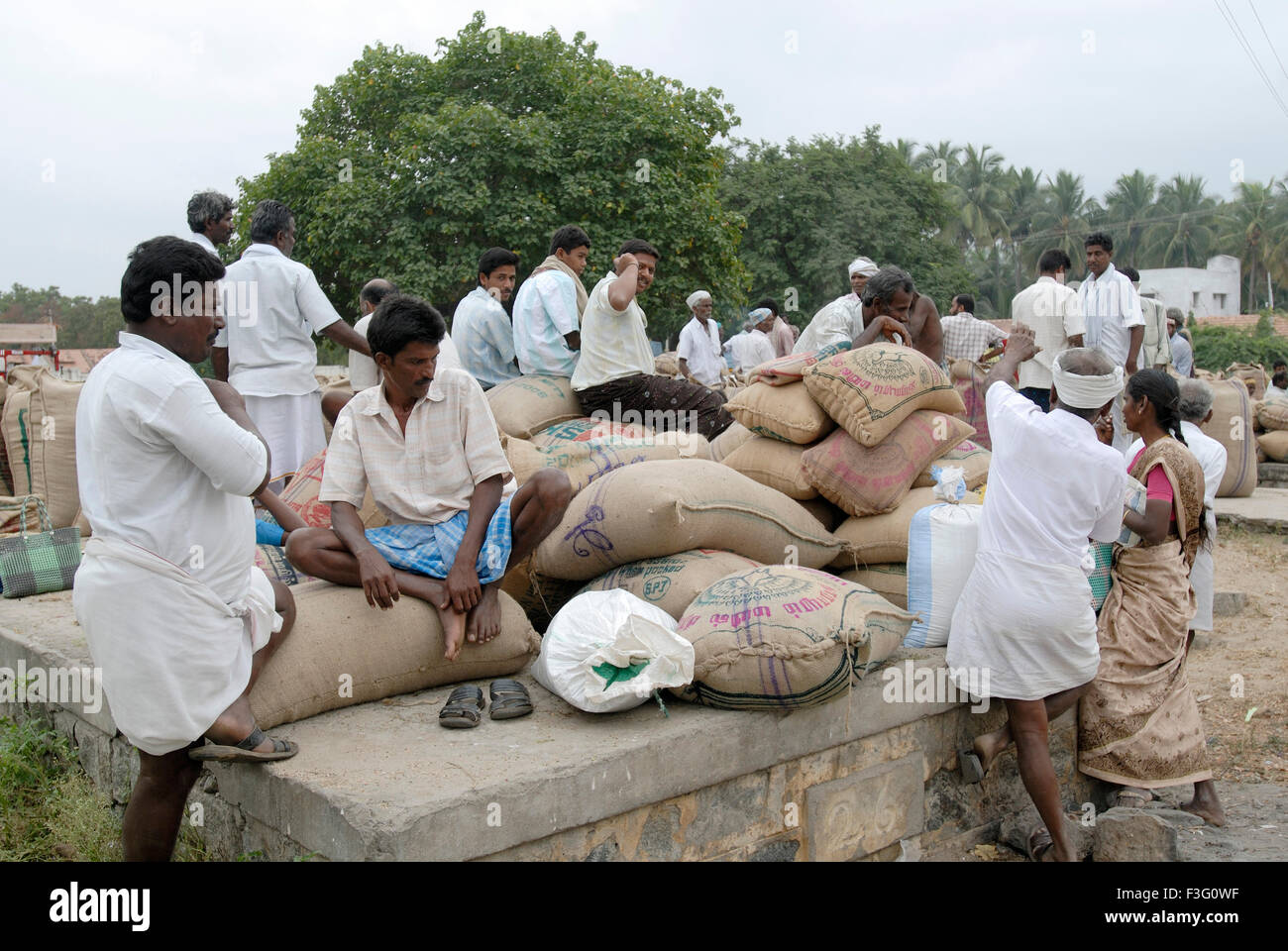 Landwirtschaftliche Produkte sind für den Transport bereit; Tamil Nadu; Indien Stockfoto