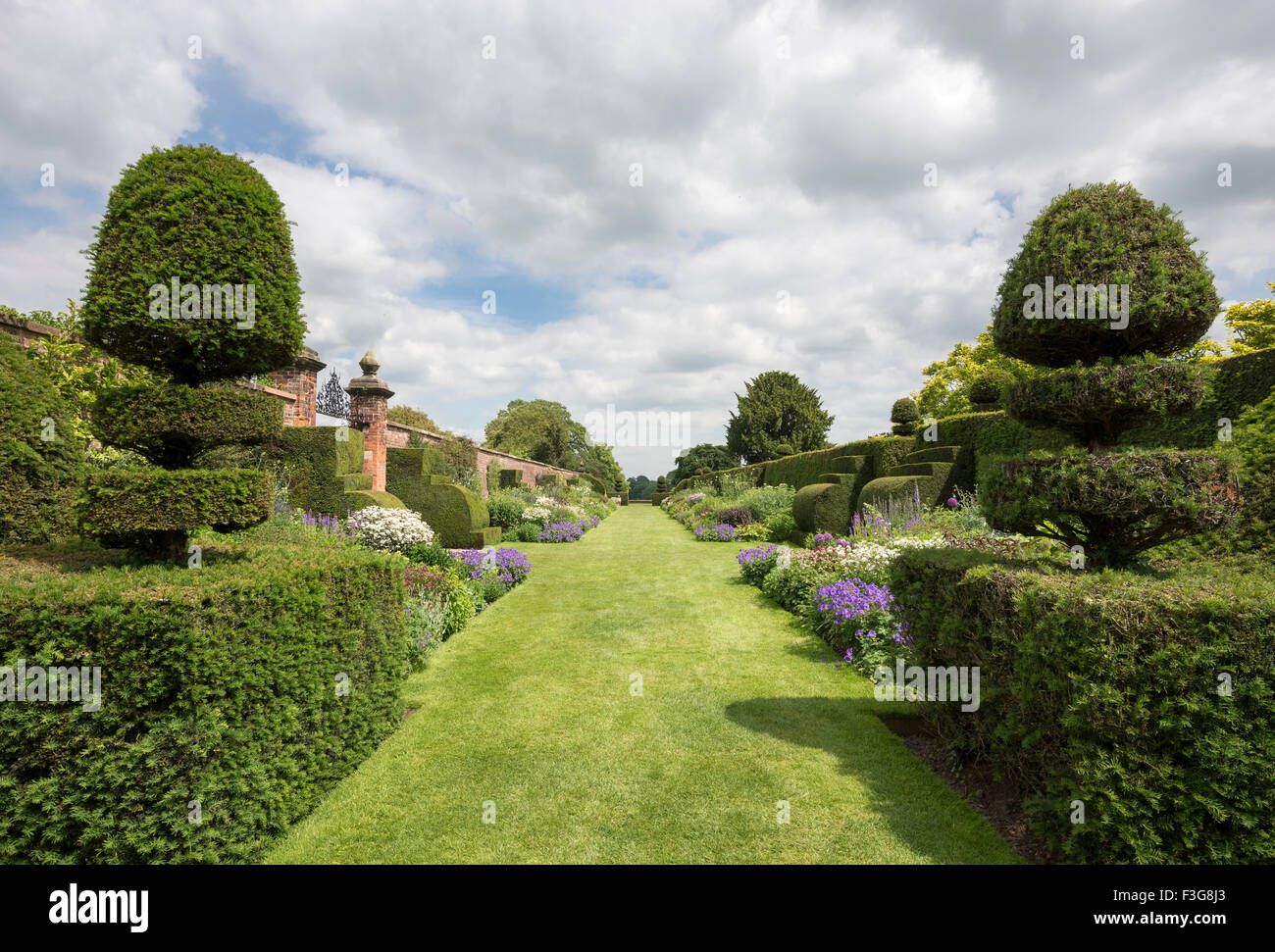 Berühmte Staudenrabatten Arley Hall in Cheshire mit Frühsommer Bepflanzung. Stockfoto