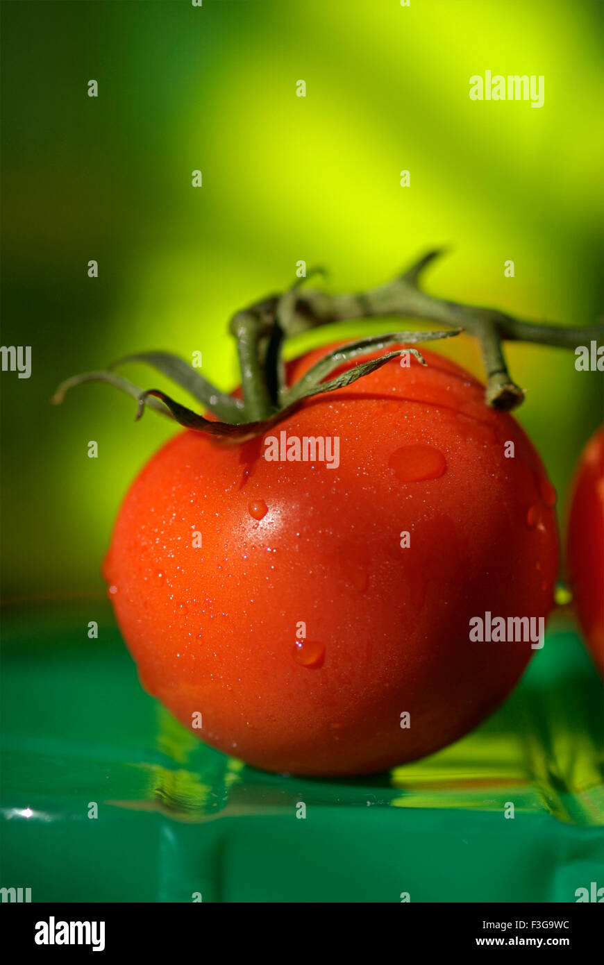 Rote Tomate; London; England; Vereinigtes Königreich; Vereinigtes Königreich Stockfoto