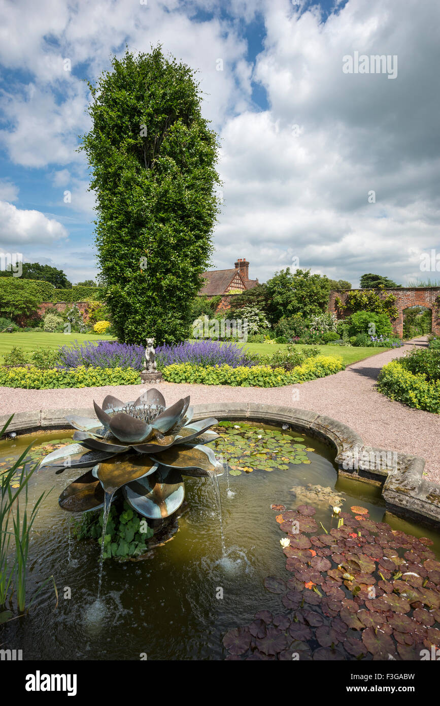 Seerose-Wasserspiel im Garten in Arley Hall in Cheshire. Einem sonnigen Sommertag. Stockfoto