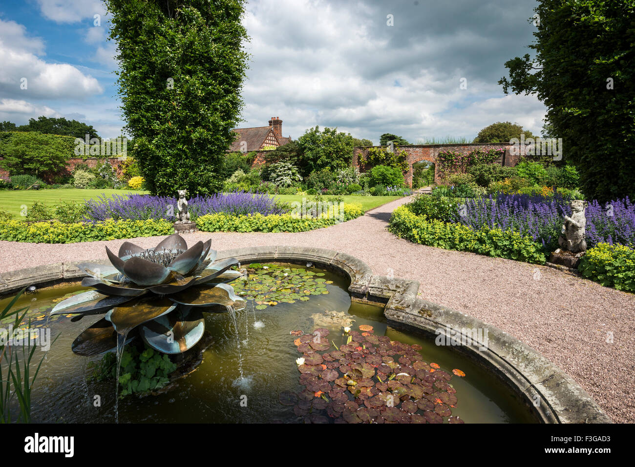 Seerose-Wasserspiel im Garten in Arley Hall in Cheshire. Einem sonnigen Sommertag. Stockfoto