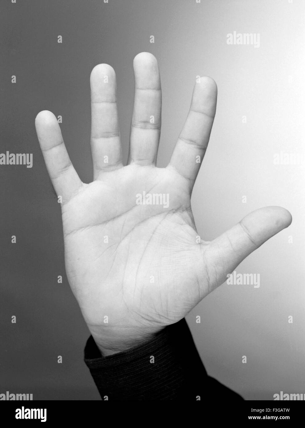 Handvorderseite mit fünf Fingern Stockfoto